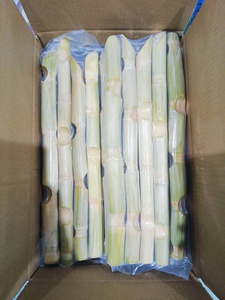 Palitos de Caña de Azúcar Congelados Naturales VDELTA, Sabor Dulce, Origen Vietnam, 1 Año de Duración - Product Image 1