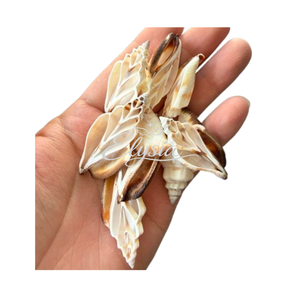Tranches de coquillages coupées en gros, morceaux naturels de coquillages papillon, fournitures artisanales DIY, fabrication de fleurs, bijoux, décoration côtière - Product Image 4