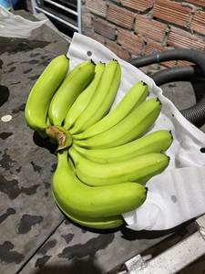 Plátano maduro Cavendish fresco perfecto para hornear batidos y aplicaciones culinarias Vietnam - Product Image 2