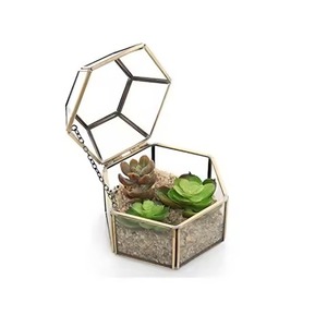 Exclusive <b>Frame</b> Metal Terrarium Glass Planter Elegant Indoor <b>Plant</b> Holder Geometric Home Decor - Product Image 1