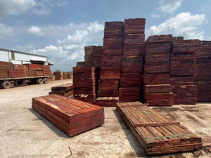 Bois de Padouk en Gros pour Importateurs, Exportateurs, Fabricants de Meubles, Distributeurs et Marchands de Bois - Product Image 4