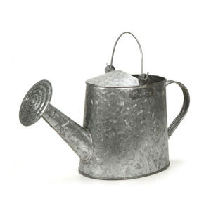 Arrosoir en métal galvanisé de style classique pour plantes de jardin, pot à eau décoratif en zinc et fer, outil de jardinage fait main - Product Image 1