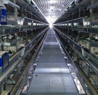 Diseño de Construcción de Naves Avícolas con Estructura de Acero, Fabricante y Proveedor de Gallineros