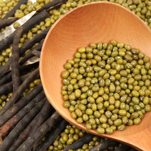 Farm Fresh Green Mung <b>Beans</b> For Bulk Orders And Mung <b>Beans</b> For Healthy Grain Ingredient Selection For Reliable Export Support - Product Image 6