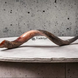 Tradebyd – Décoration d'intérieur et cadeau de luxe en corne de style animal, fabriquée à la main, écologique et en matériau biologique de qualité supérieure - Product Image 4