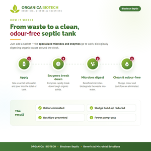 Limpiador de desagües seguro para fosas sépticas, polvo bacteriano para limpieza de desagües, control de olores, Bioclean Septic, bolsa de 250g - Product Image 4