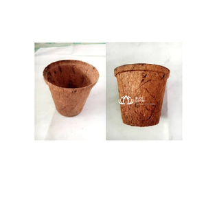 Maceta de Fibra de Coco Natural Blue Lotus, Maceta Ecológica de Cáscara de Coco para Viveros, Plantación de Plántulas, Estilo Rústico, Diseño Campestre - Product Image 1