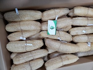 Materia prima lufa natural de Vietnam para el mercado coreano con muy buen precio - Product Image 2