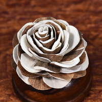 Sola Flower Diffuseur Reed Sticks Produit amical d'écho pour la décoration de la chambre et du désherbage pour tous les temps