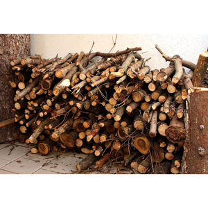 Dry Beech/Oak Firewood Kiln Dried Firewood in bags Oak <b>fire</b> wood On Pallets - Product Image 2
