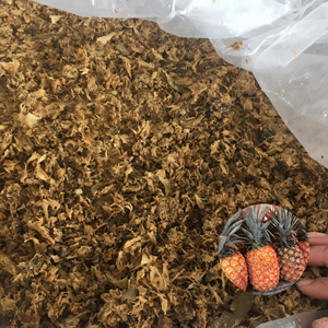 Fabricante Vietnamita Suministra Piña Fermentada de Calidad de Exportación a Bajo Precio, en Venta, Empacada en Bolsa de PE - Product Image 1