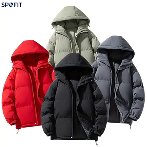 Nouveau Manteau d'hiver en duvet à capuche noir uni, épais, imperméable, décontracté, coupe ample, fermeture éclair, longueur standard, vêtement d'extérieur - Product Image 6