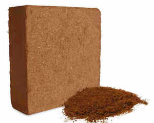 Blocs de cocofibre de haute qualité, fibre de coco, milieu de culture écologique pour l'agriculture en serre, hydroponie, exportation d'Indonésie - Product Image 4