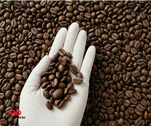 Proveedor de café vietnamita, granos de café tostados, 100% Arábica premium vietnamita, 0.25 kg, OEM, origen único, posgusto dulce, exportación - Product Image 1