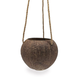 Handcrafted coconut shell <b>pot</b> orchid <b>succulent</b> hanging <b>pots</b> discount deal garden decor planter - Product Image 1