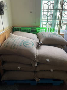 Nouvelle récolte de grains de café vert Robusta du Vietnam, Robusta de qualité supérieure, procédé naturel anaérobie, durée de conservation de 12 mois - Product Image 4