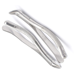 Spécialistes en soins dentaires, les forceps dentaires utilisés pour l'extraction des dents offrent une forte adhérence et des performances cohérentes en clinique. - Product Image 2