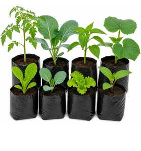 Bolsas de Cultivo de Tela No Tejida de 20L para Plántulas, Ecológicas y Transpirables - Product Image 1