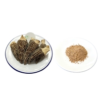 Boisson santé à base de poudre de champignons morels