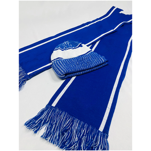 Ensemble bonnet et écharpe en tricot acrylique rayé bleu et blanc avec logo personnalisé Alpha Phi Beta Sorority, pompon premium, équipement d'hiver - Product Image 6