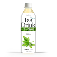 Boisson de thé exotique aromatisée aux fruits tropicaux de qualité supérieure de 500ml en gros/Marque privée OEM/HACCP, certifiée HALAL/Boisson instantanée