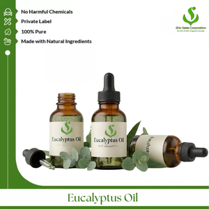 High Quality Eucalyptus Oil for International Distributors Wholesalers Manufacturers and B2B Buyers Seeking Dependable Supply - Product Image 1
