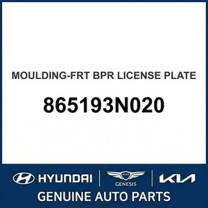 อุปกรณ์ตกแต่งตัวถังและขอบประตูรถยนต์ Equus รุ่นใหม่ 865193N020 - Product Image 1