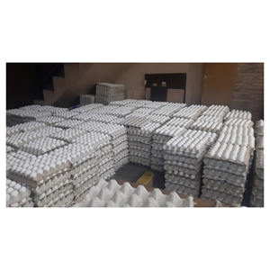 Huevos de Gallina Blancos Frescos de Granja de Primera Calidad, Proveedor al por Mayor, Huevos de Grado de Exportación para Restaurantes, Comercio Minorista y Servicios de Alimentos - Product Image 1