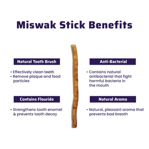 Palitos MISWAK al por Mayor, Productos Orgánicos Naturales de Higiene Bucal de Madera para Niños y Adultos, Limpieza Dental, Cuidado Bucal Multiusos - Product Image 4