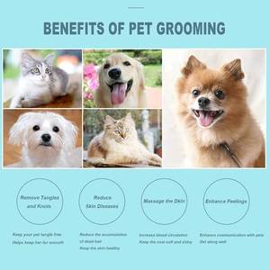 Peine para Mascotas con Mango Antideslizante y Control de Desprendimiento de Pelo, Punta Redondeada para Piel Sensible - Product Image 6
