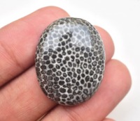 Cabochon de corail fossile de raie noir de haute qualité, pierres précieuses en vrac, perles de raie fossiliées