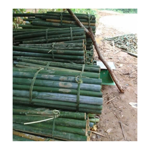 Bandes de bambou en vrac pour la fabrication de paniers tissés et la production artisanale traditionnelle en bambou - Product Image 1