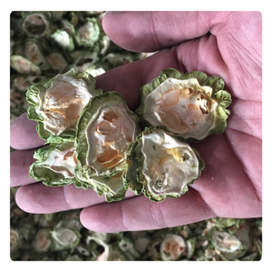 แตงขมอบแห้งคุณภาพดีกว่า-แผ่นพรีเมี่ยมจากเวียดนาม - Product Image 5