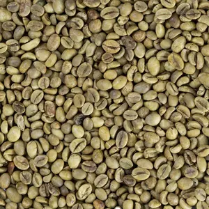 越南罗布斯塔绿咖啡豆-罗布斯塔咖啡豆加工出口质量 + 84 388 385 347 Ms Alicia