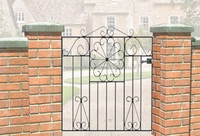 Arco de jardín de metal galvanizado, diseño personalizado, alta calidad, hecho a mano, fabricante de puerta de la India
