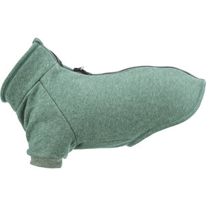 Felpa Verde Scuro Stile Urbano Amsterdam per Animali Domestici Taglia Piccola 50 cm - Product Image 3