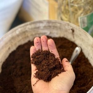 Cocopeat de textura fina a granel que apoya el desarrollo de plántulas, la expansión de raíces y una mayor productividad de plantas en general. - Product Image 6