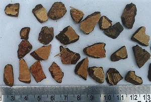 Cáscara de Coco Triturada 100% Natural de Alta Calidad, Material de Cáscara de Coco Cruda de Vietnam, Carbón Vegetal, Residuos Agrícolas, Stock a Granel - Product Image 4