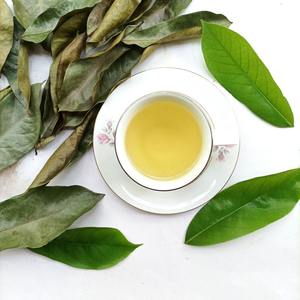 Organic Dried Soursop Leaves Black <b>Tea</b> Vietnam Health <b>Tea</b> Non Sugar Grade a 25 <b>Tea</b> Bags <b>Box</b> - Product Image 5