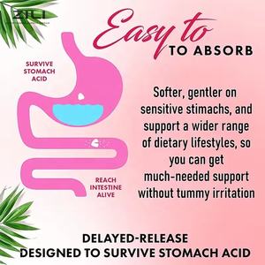 Gummies Probiotiques à la Canneberge pour Femmes, Suppléments Végétaliens avec Antioxydants et Soutien à la Santé Intestinale, Sans Produits Laitiers - Product Image 4