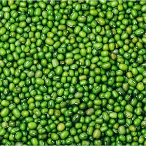 Haricots Mung Verts Entiers Frais en Gros, Haute Pureté, Nettoyés et Triés pour l'Industrie Alimentaire - Product Image 3