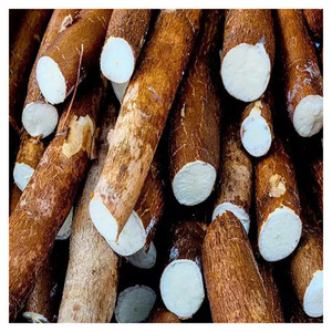 Almidón de Tapioca Premium para Importadores Internacionales, Productores de Alimentos y Compradores de Materias Primas Industriales - Product Image 1