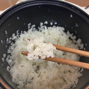 ข้าวญี่ปุ่นสำหรับซูชิ ราคาข้าวใหม่ ข้าวเมล็ดสั้น ข้าวญี่ปุ่นพันธุ์ญี่ปุ่นนิก้า - Product Image 3
