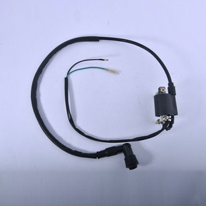 Bobina de encendido de alta calidad para 100cc, recién llegada, precio al por mayor, bobina de encendido para motocicleta de 100cc fabricada en Pakistán - Product Image 4