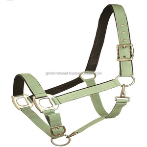 Licou de cheval réglable et léger, couleurs vibrantes, sangle en nylon 100%, licou de cheval de course équitation, vente en gros - Product Image 4