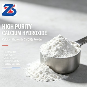 Hydroxyde de calcium de qualité industrielle, poudre de chaux calcinée pour l'absorption du dioxyde de carbone et les applications environnementales - Product Image 1