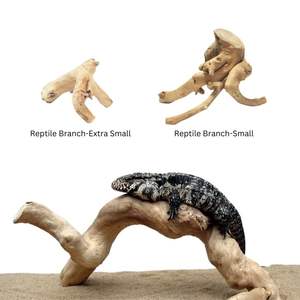 Suministros Ecológicos para Reptiles y Anfibios para Dueños de Reptiles - Product Image 1