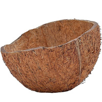 Coques de noix de coco concassées de qualité supérieure, écologiques, 3-6 cm, durables, multi-usages, matière première, Belgique