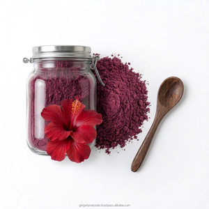 Polvo de Flor de Hibisco de Alta Calidad para Mascarillas Capilares y Formulaciones Botánicas de Belleza - Product Image 1