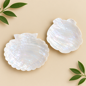 Plato de Servir de Madreperla Natural al por Mayor, Plato de Mariscos de Lujo con Forma de Concha para Hotel, Restaurante, Boda - Product Image 1